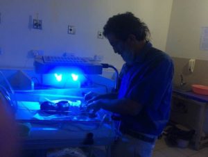 Neonatologist, Dr. Eilon Shany, comforts incubated child in Ghana